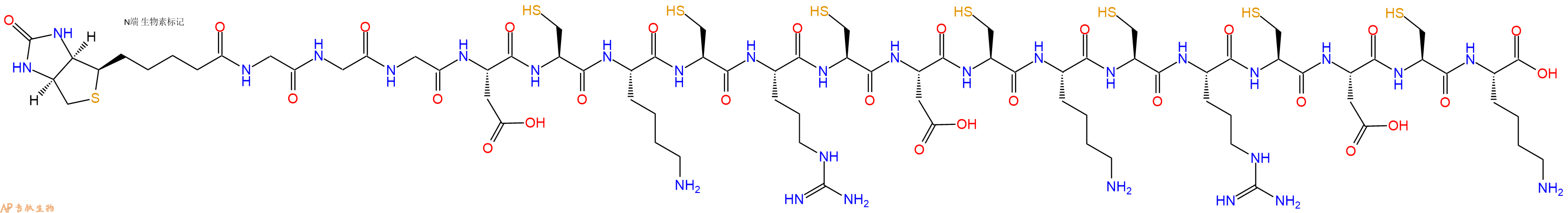 专肽生物产品Biotinyl-Gly-Gly-Gly-Asp-Cys-Lys-Cys-Arg-Cys-Asp-Cys-Lys-Cys-Arg-Cys-Asp-Cys-Lys-OH