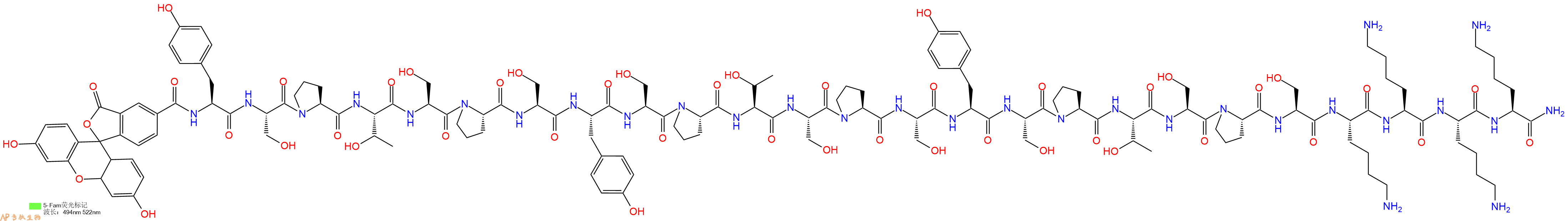专肽生物产品5FAM-Tyr-Ser-Pro-Thr-Ser-Pro-Ser-Tyr-Ser-Pro-Thr-Ser-Pro-Ser-Tyr-Ser-Pro-Thr-Ser-Pro-Ser-Lys-Lys-Lys-Lys-NH2