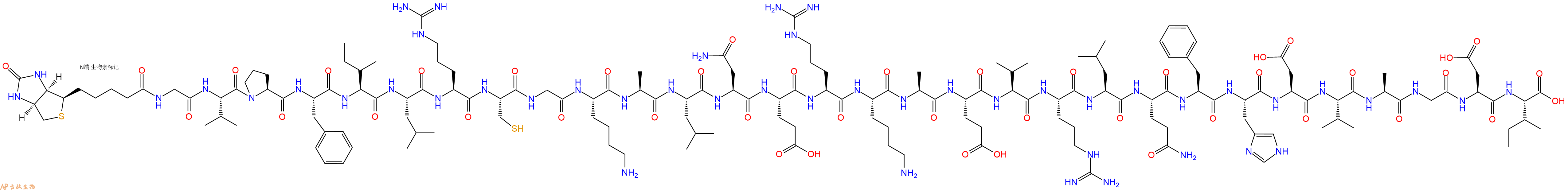 专肽生物产品Biotinyl-Gly-Val-Pro-Phe-Ile-Leu-Arg-Cys-Gly-Lys-Ala-Leu-Asn-Glu-Arg-Lys-Ala-Glu-Val-Arg-Leu-Gln-Phe-His-Asp-Val-Ala-Gly-Asp-Ile-OH