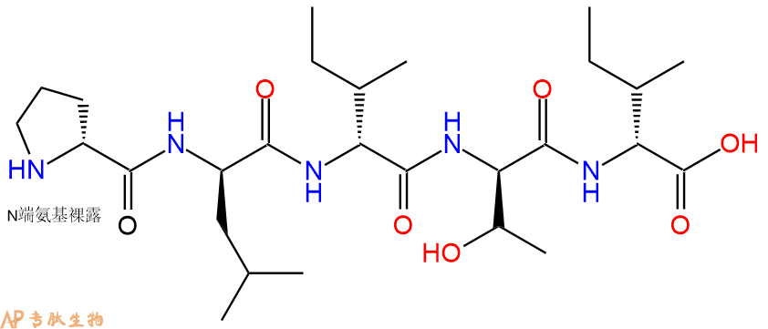专肽生物产品H2N-DPro-DLeu-DIle-DThr-DIle-OH