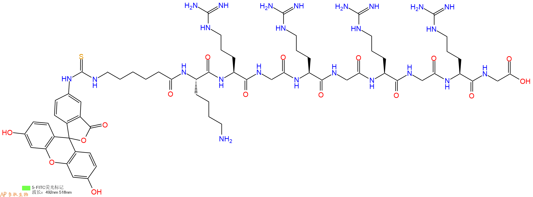 专肽生物产品5FITC-Ahx-Lys-Arg-Gly-Arg-Gly-Arg-Gly-Arg-Gly-OH