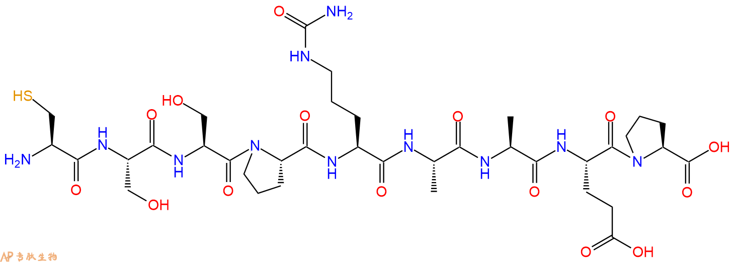 专肽生物产品H2N-Cys-Ser-Ser-Pro-Cit-Ala-Ala-Glu-Pro-OH