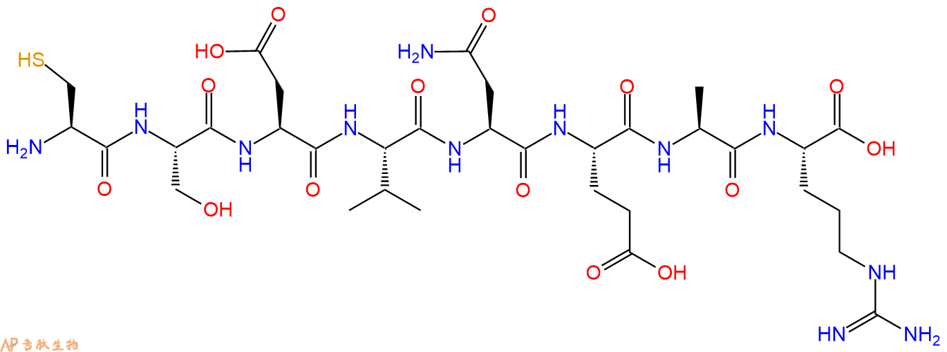 专肽生物产品H2N-Cys-Ser-Asp-Val-Asn-Glu-Ala-Arg-OH