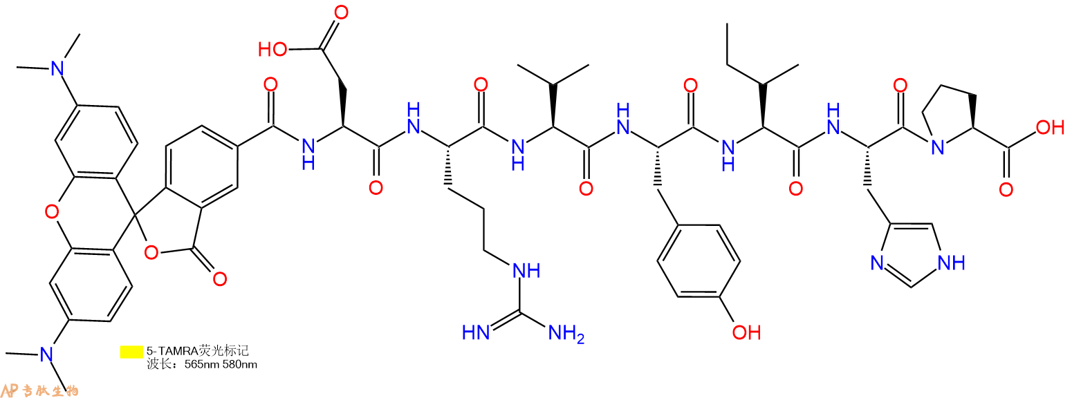 专肽生物产品5-Tamra-DRVYIHP