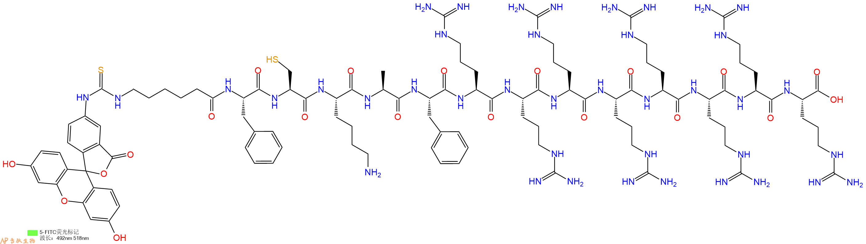 专肽生物产品5FITC-Ahx-Phe-Cys-Lys-Ala-Phe-Arg-Arg-Arg-Arg-Arg-Arg-Arg-Arg-OH