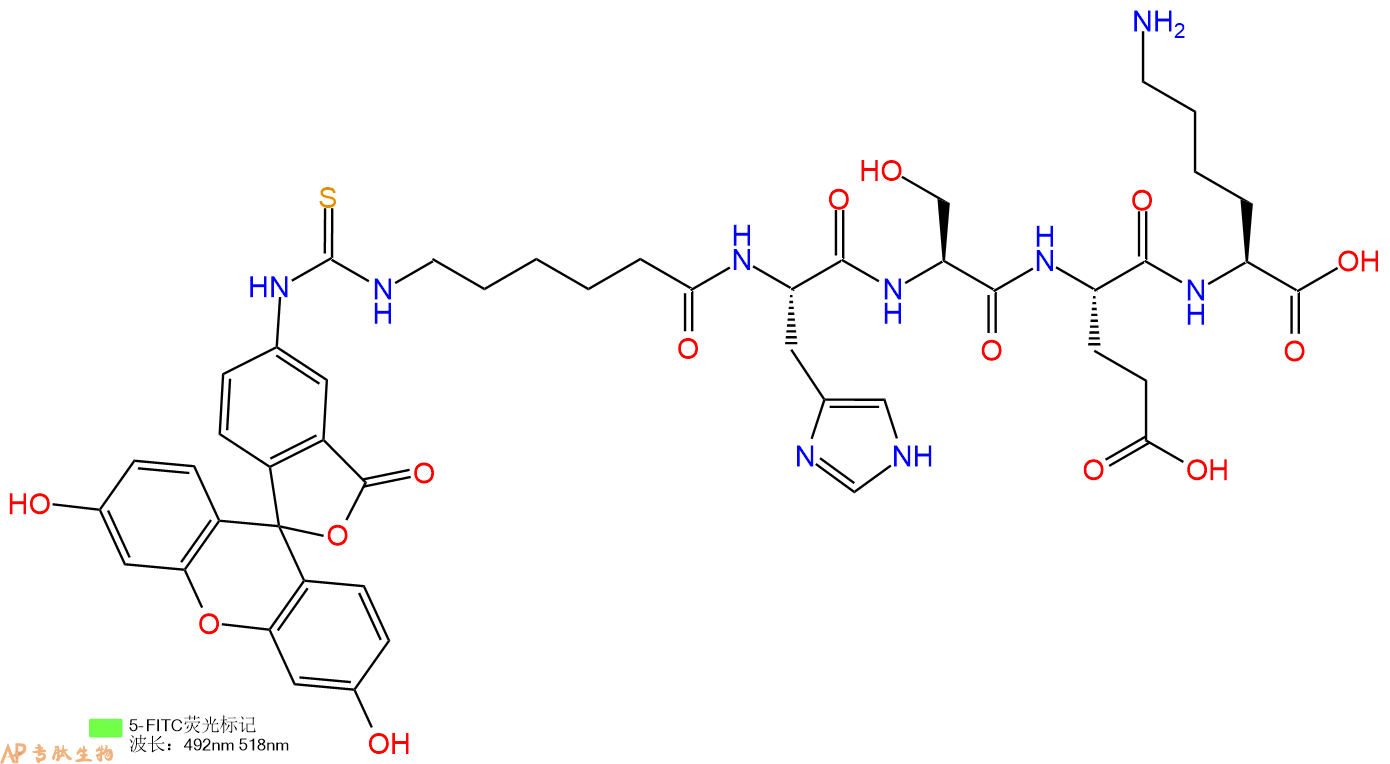 专肽生物产品5FITC-Ahx-His-Ser-Glu-Lys-OH