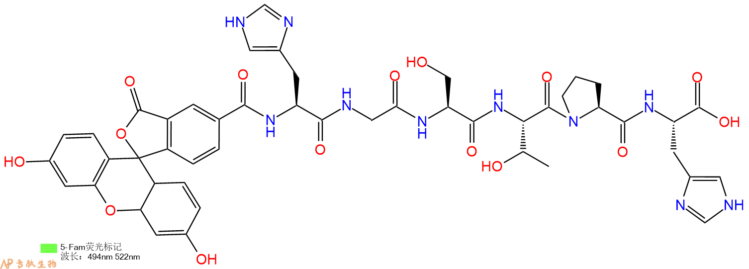 专肽生物产品5FAM-His-Gly-Ser-Thr-Pro-His-OH