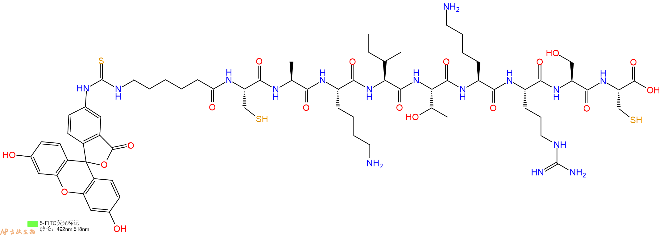 专肽生物产品5FITC-Ahx-Cys-Ala-Lys-Ile-Thr-Lys-Arg-Ser-Cys-OH