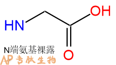 专肽生物产品H2N-OGly-OH