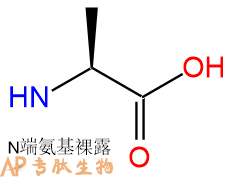 专肽生物产品H2N-OAla-OH