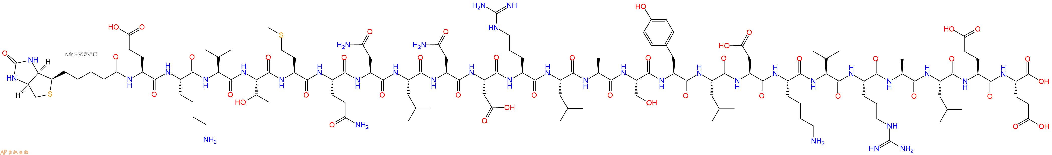 专肽生物产品Biotinyl-Glu-Lys-Val-Thr-Met-Gln-Asn-Leu-Asn-Asp-Arg-Leu-Ala-Ser-Tyr-Leu-Asp-Lys-Val-Arg-Ala-Leu-Glu-Glu-OH