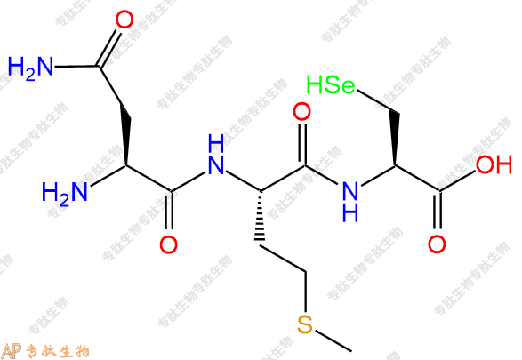 专肽生物产品H2N-Asn-Met-Sec-OH