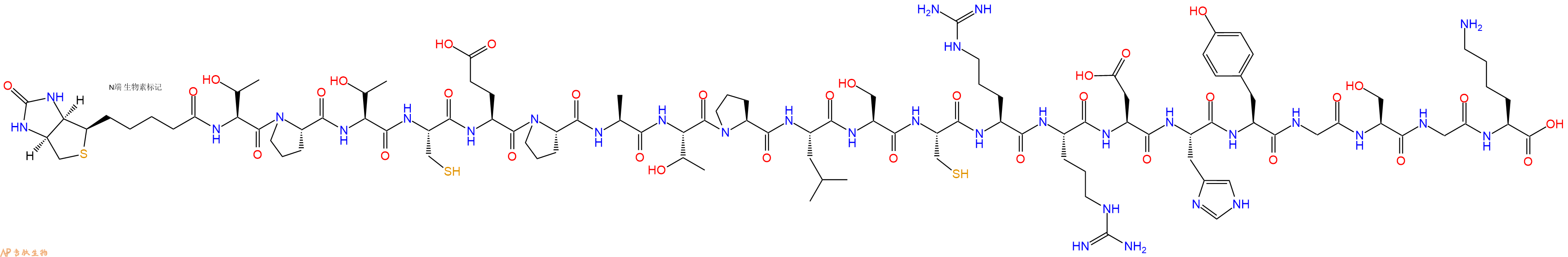 专肽生物产品Biotinyl-Thr-Pro-Thr-Cys-Glu-Pro-Ala-Thr-Pro-Leu-Ser-Cys-Arg-Arg-Asp-His-Tyr-Gly-Ser-Gly-Lys-OH