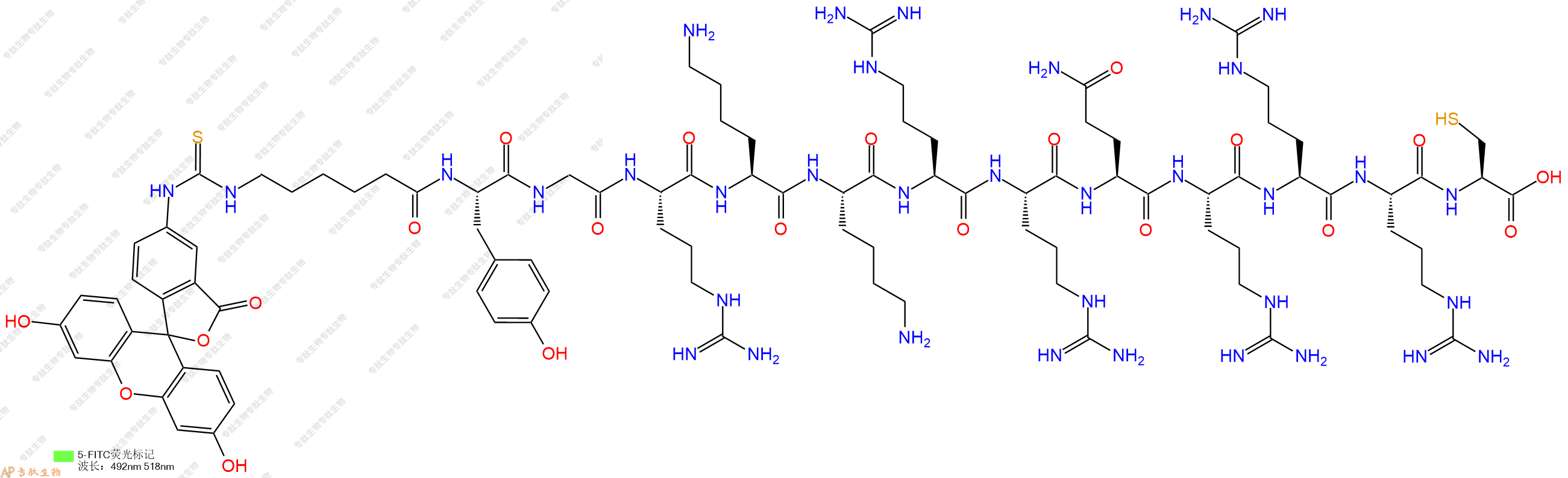 专肽生物产品5FITC-Ahx-Tyr-Gly-Arg-Lys-Lys-Arg-Arg-Gln-Arg-Arg-Arg-Cys-OH