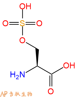 专肽生物产品H2N-Ser(SO3H)-OH