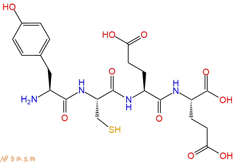 专肽生物产品H2N-Tyr-Cys-Glu-Glu-OH