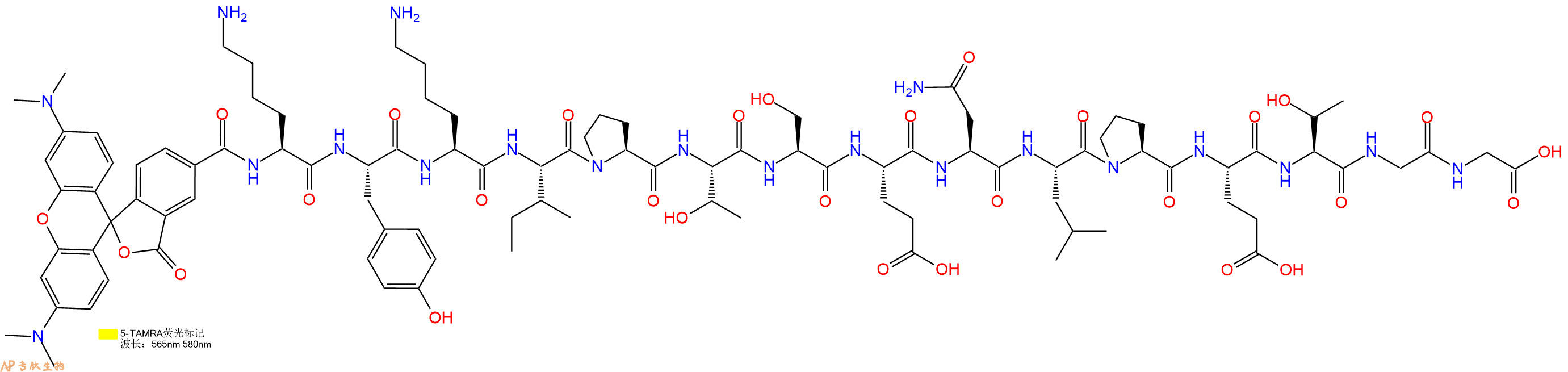 专肽生物产品5TAMRA-Lys-Tyr-Lys-Ile-Pro-Thr-Ser-Glu-Asn-Leu-Pro-Glu-Thr-Gly-Gly-OH