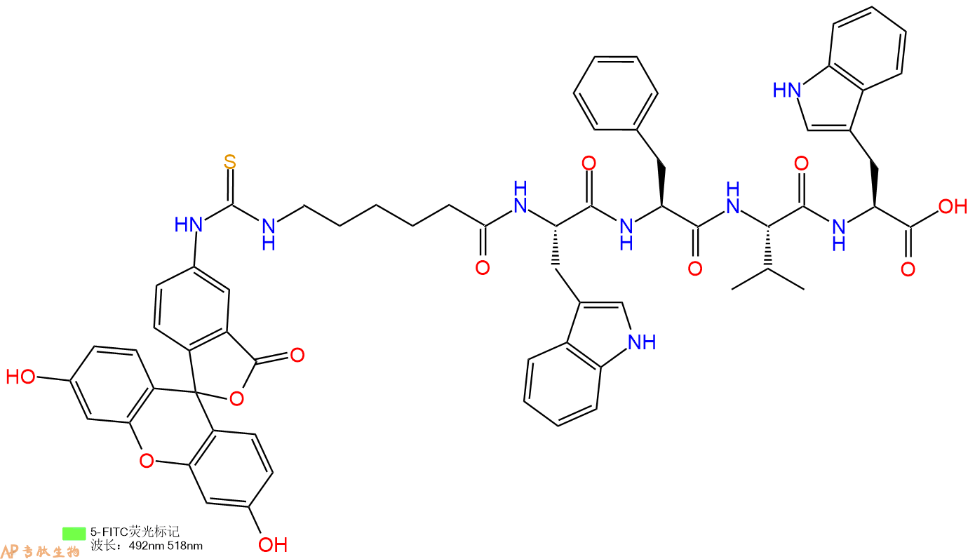 专肽生物产品5FITC-Ahx-Trp-Phe-Val-Trp-OH