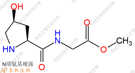 专肽生物产品H2N-Hyp-Gly-OMe