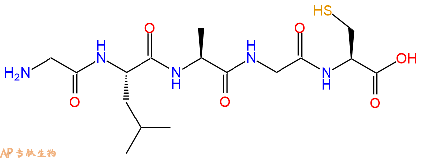 专肽生物产品H2N-Gly-Leu-Ala-Gly-Cys-OH