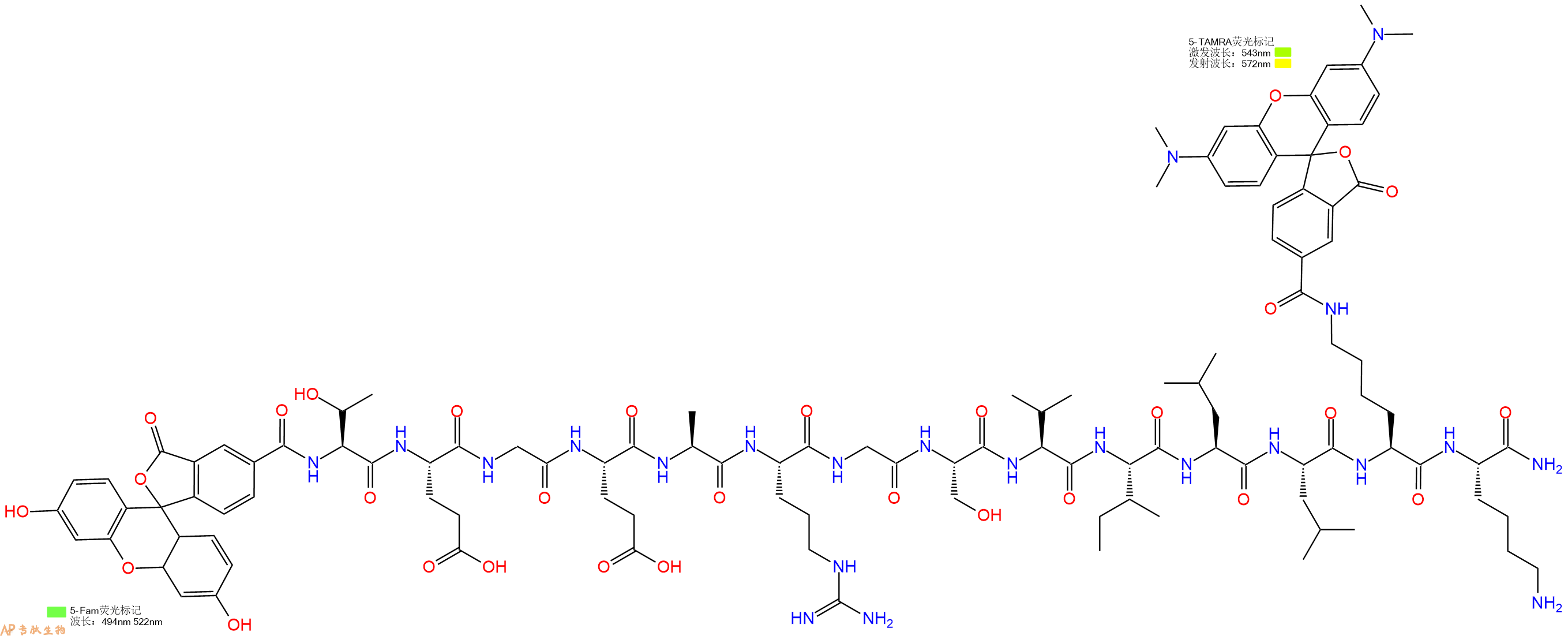 专肽生物产品5FAM-Thr-Glu-Gly-Glu-Ala-Arg-Gly-Ser-Val-Ile-Leu-Leu-Lys(TAMRA)-Lys-NH2