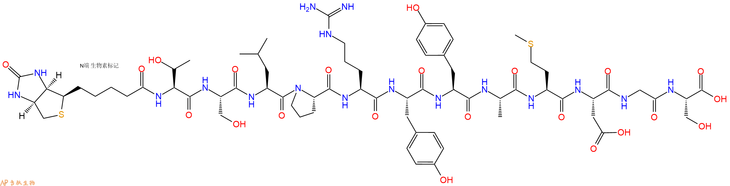 专肽生物产品Biotinyl-Thr-Ser-Leu-Pro-Arg-Tyr-Tyr-Ala-Met-Asp-Gly-Ser-OH