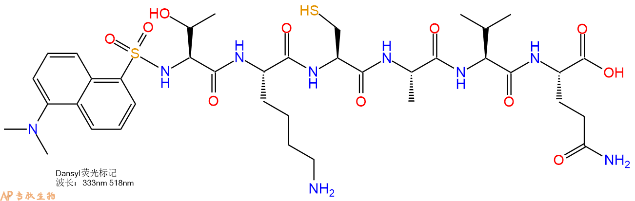 专肽生物产品Dansyl-Thr-Lys-Cys-Ala-Val-Gln-OH