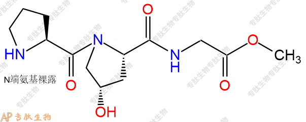 专肽生物产品H2N-Pro-Hyp-Gly-OMe