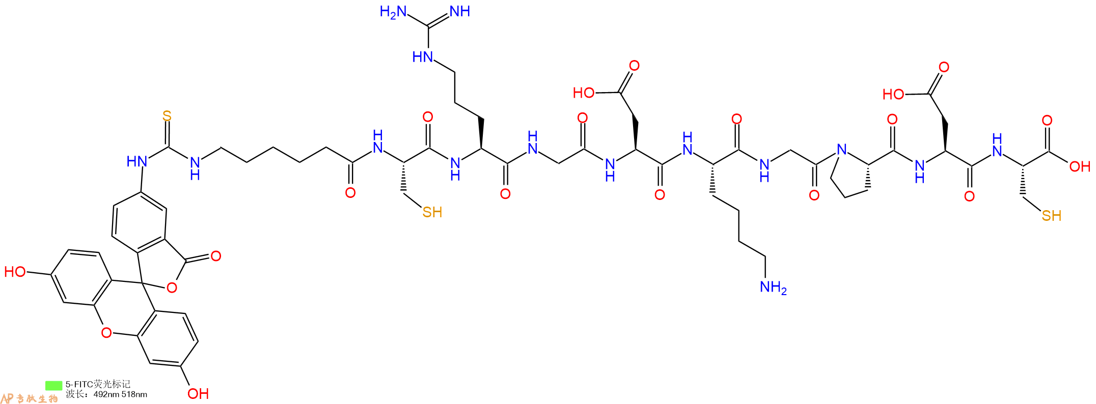 专肽生物产品5FITC-Ahx-Cys-Arg-Gly-Asp-Lys-Gly-Pro-Asp-Cys-OH