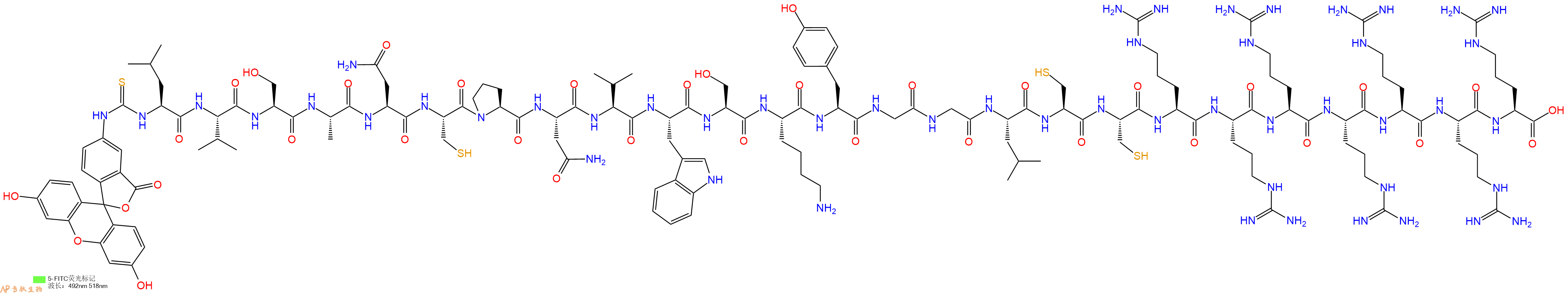 专肽生物产品5FITC-Leu-Val-Ser-Ala-Asn-Cys-Pro-Asn-Val-Trp-Ser-Lys-Tyr-Gly-Gly-Leu-Cys-Cys-Arg-Arg-Arg-Arg-Arg-Arg-Arg-OH