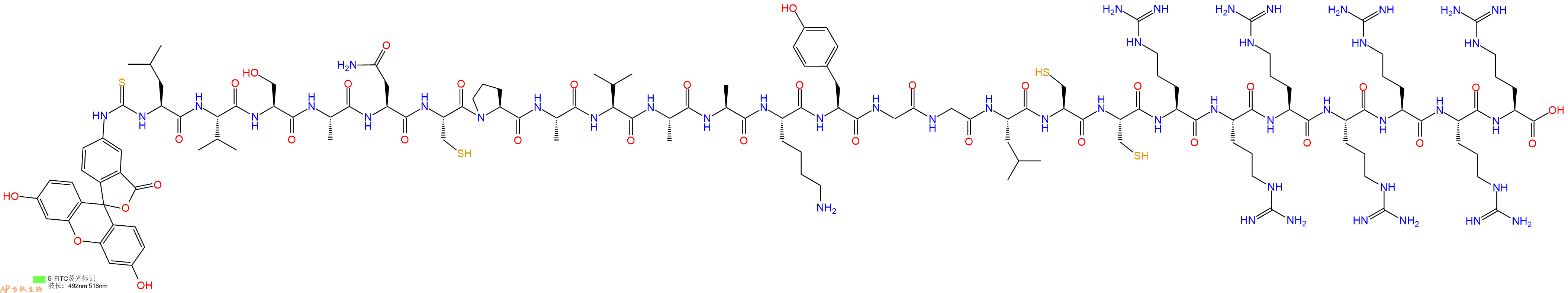 专肽生物产品5FITC-Leu-Val-Ser-Ala-Asn-Cys-Pro-Ala-Val-Ala-Ala-Lys-Tyr-Gly-Gly-Leu-Cys-Cys-Arg-Arg-Arg-Arg-Arg-Arg-Arg-OH