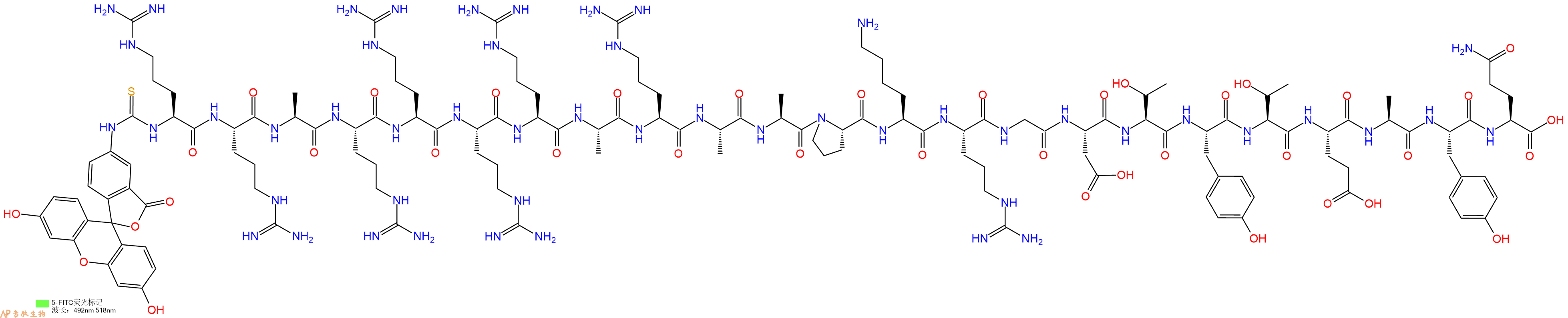 专肽生物产品5FITC-Arg-Arg-Ala-Arg-Arg-Arg-Arg-Ala-Arg-Ala-Ala-Pro-Lys-Arg-Gly-Asp-Thr-Tyr-Thr-Glu-Ala-Tyr-Gln-OH