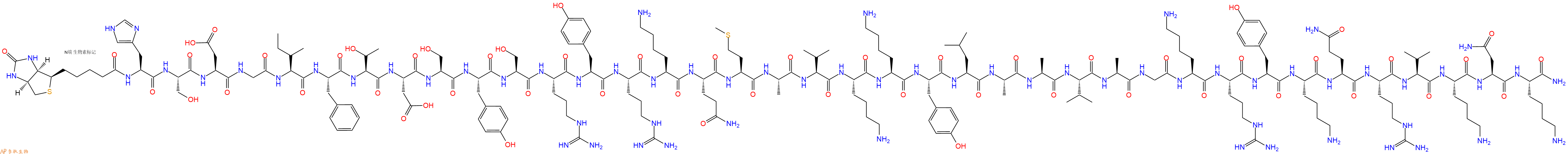 专肽生物产品Biotinyl-His-Ser-Asp-Gly-Ile-Phe-Thr-Asp-Ser-Tyr-Ser-Arg-Tyr-Arg-Lys-Gln-Met-Ala-Val-Lys-Lys-Tyr-Leu-Ala-Ala-Val-Ala-Gly-Lys-Arg-Tyr-Lys-Gln-Arg-Val-Lys-Asn-Lys-NH2