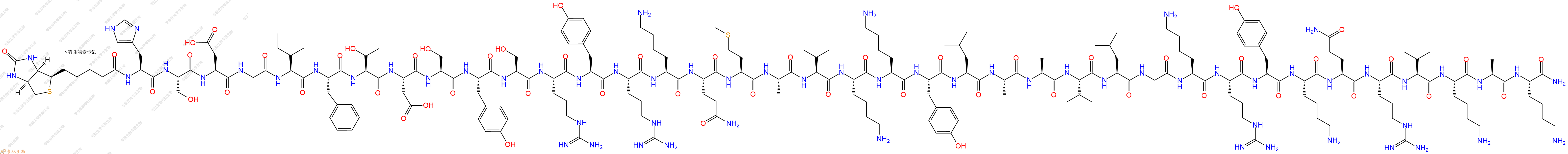 专肽生物产品Biotinyl-His-Ser-Asp-Gly-Ile-Phe-Thr-Asp-Ser-Tyr-Ser-Arg-Tyr-Arg-Lys-Gln-Met-Ala-Val-Lys-Lys-Tyr-Leu-Ala-Ala-Val-Leu-Gly-Lys-Arg-Tyr-Lys-Gln-Arg-Val-Lys-Ala-Lys-NH2