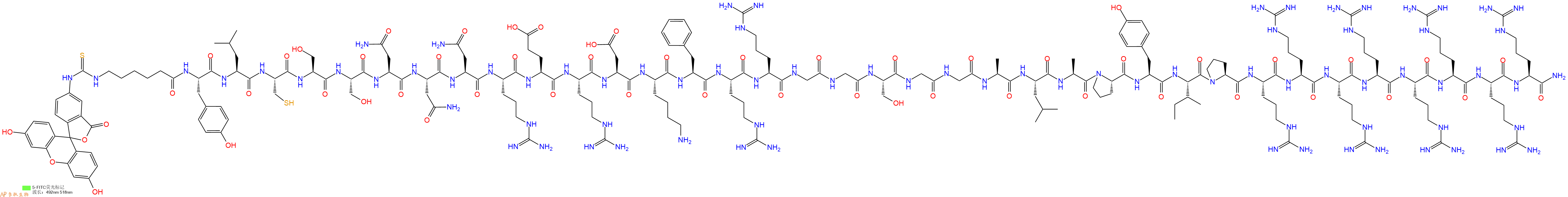 专肽生物产品5FITC-Ahx-Tyr-Leu-Cys-Ser-Ser-Asn-Asn-Asn-Arg-Glu-Arg-Asp-Lys-Phe-Arg-Arg-Gly-Gly-Ser-Gly-Gly-Ala-Leu-Ala-Pro-Tyr-Ile-Pro-Arg-Arg-Arg-Arg-Arg-Arg-Arg-Arg-NH2