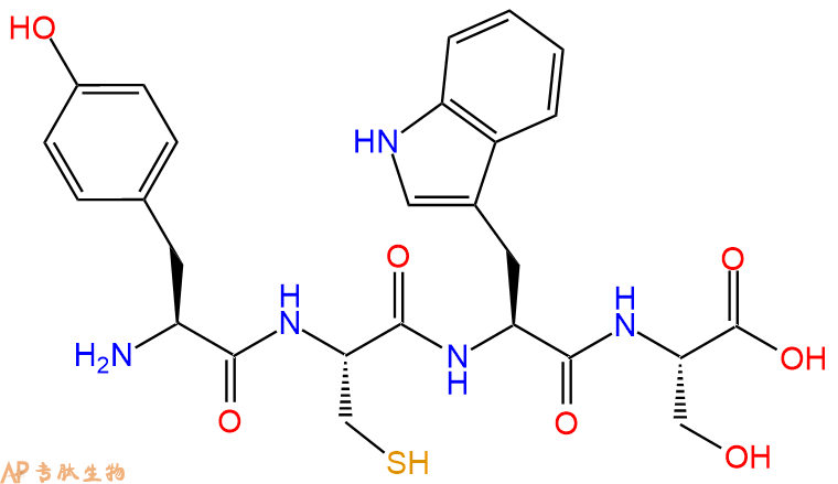 专肽生物产品H2N-Tyr-Cys-Trp-Ser-OH
