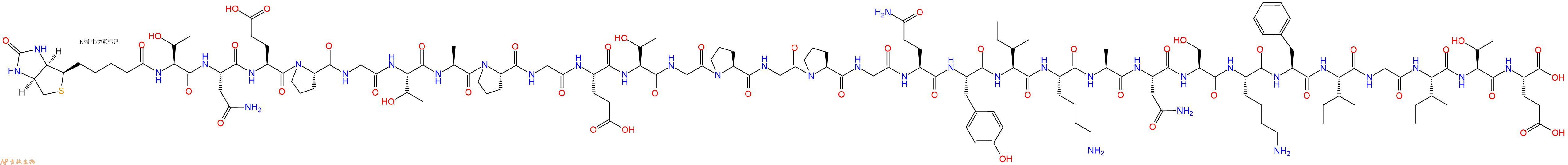 专肽生物产品Biotinyl-Thr-Asn-Glu-Pro-Gly-Thr-Ala-Pro-Gly-Glu-Thr-Gly-Pro-Gly-Pro-Gly-Gln-Tyr-Ile-Lys-Ala-Asn-Ser-Lys-Phe-Ile-Gly-Ile-Thr-Glu-OH