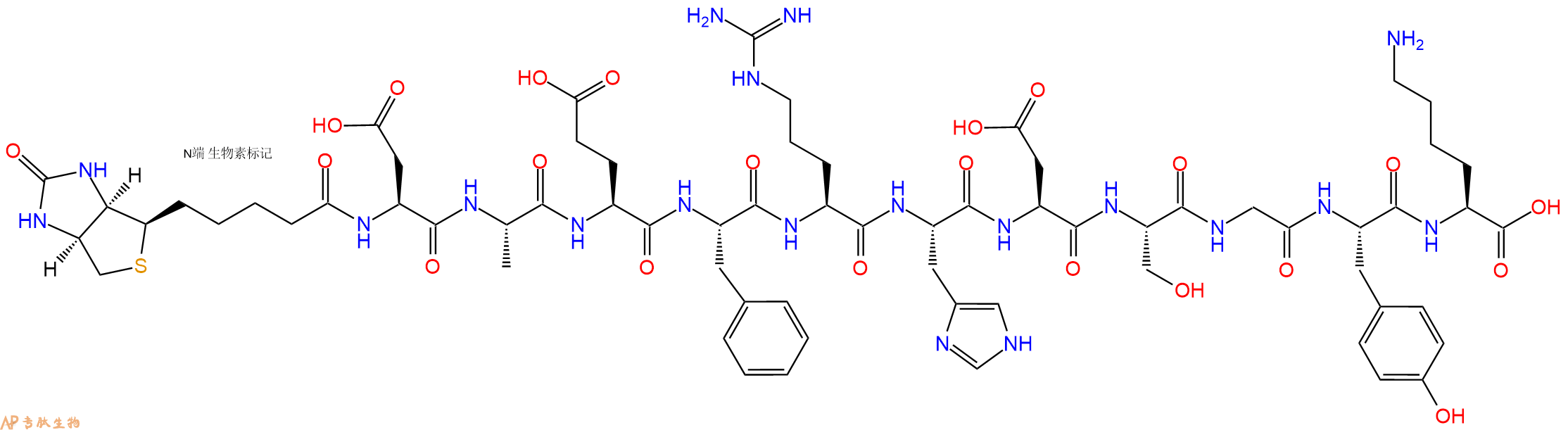 专肽生物产品Biotinyl-Asp-Ala-Glu-Phe-Arg-His-Asp-Ser-Gly-Tyr-Lys-OH