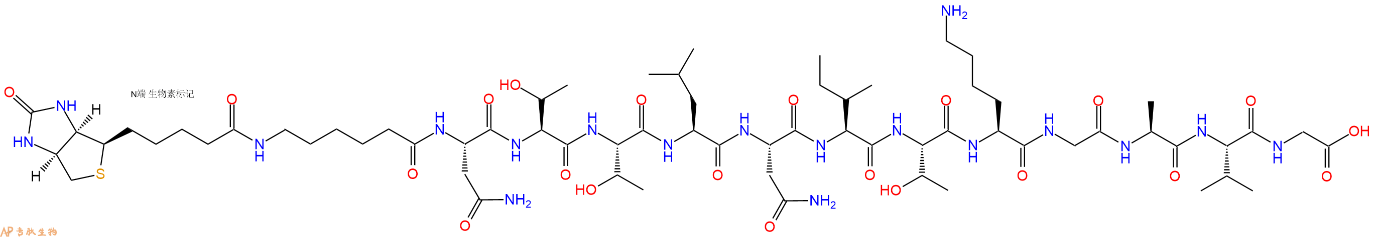 专肽生物产品Biotinyl-Ahx-Asn-Thr-Thr-Leu-Asn-Ile-Thr-Lys-Gly-Ala-Val-Gly-OH