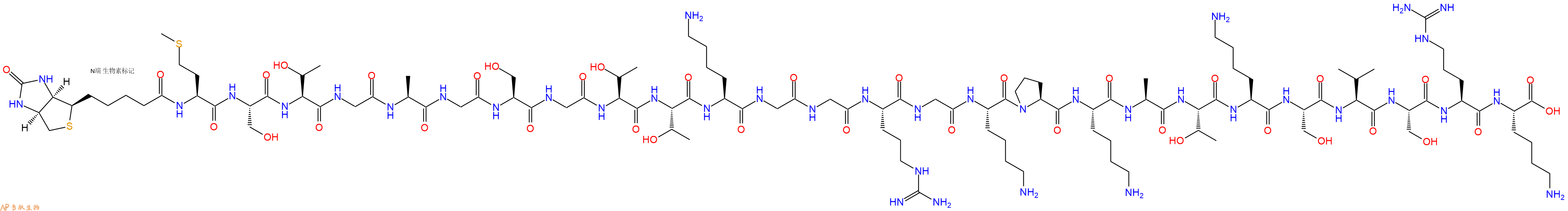 专肽生物产品Biotinyl-Met-Ser-Thr-Gly-Ala-Gly-Ser-Gly-Thr-Thr-Lys-Gly-Gly-Arg-Gly-Lys-Pro-Lys-Ala-Thr-Lys-Ser-Val-Ser-Arg-Lys-OH