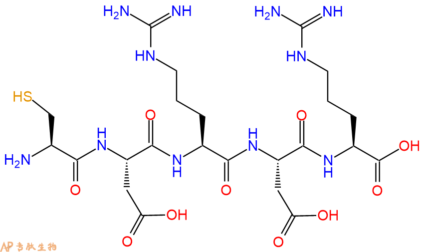 专肽生物产品H2N-Cys-Asp-Arg-Asp-Arg-OH