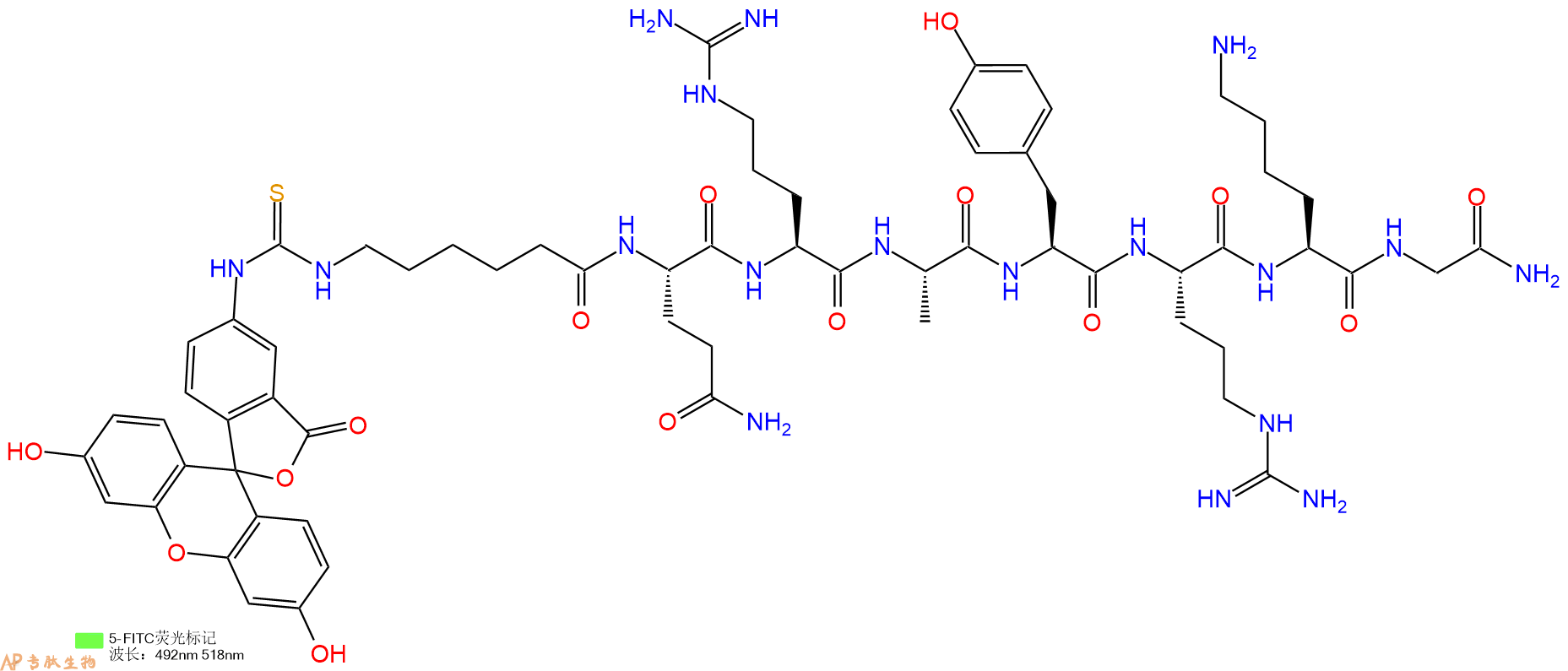 专肽生物产品5FITC-Ahx-Gln-Arg-Ala-Tyr-Arg-Lys-Gly-NH2
