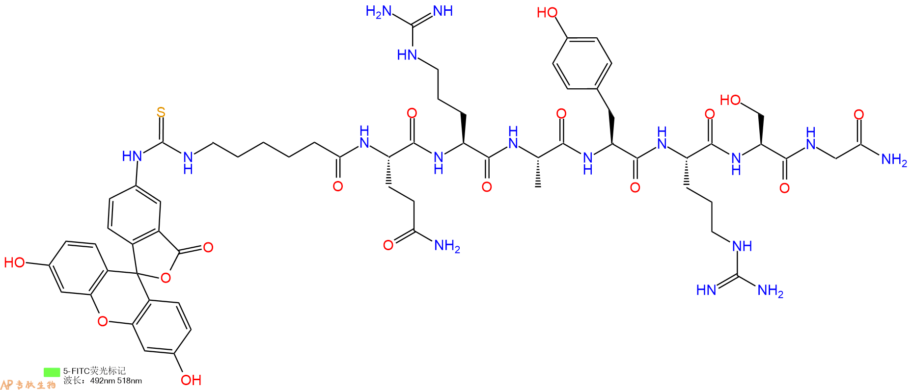 专肽生物产品5FITC-Ahx-Gln-Arg-Ala-Tyr-Arg-Ser-Gly-NH2