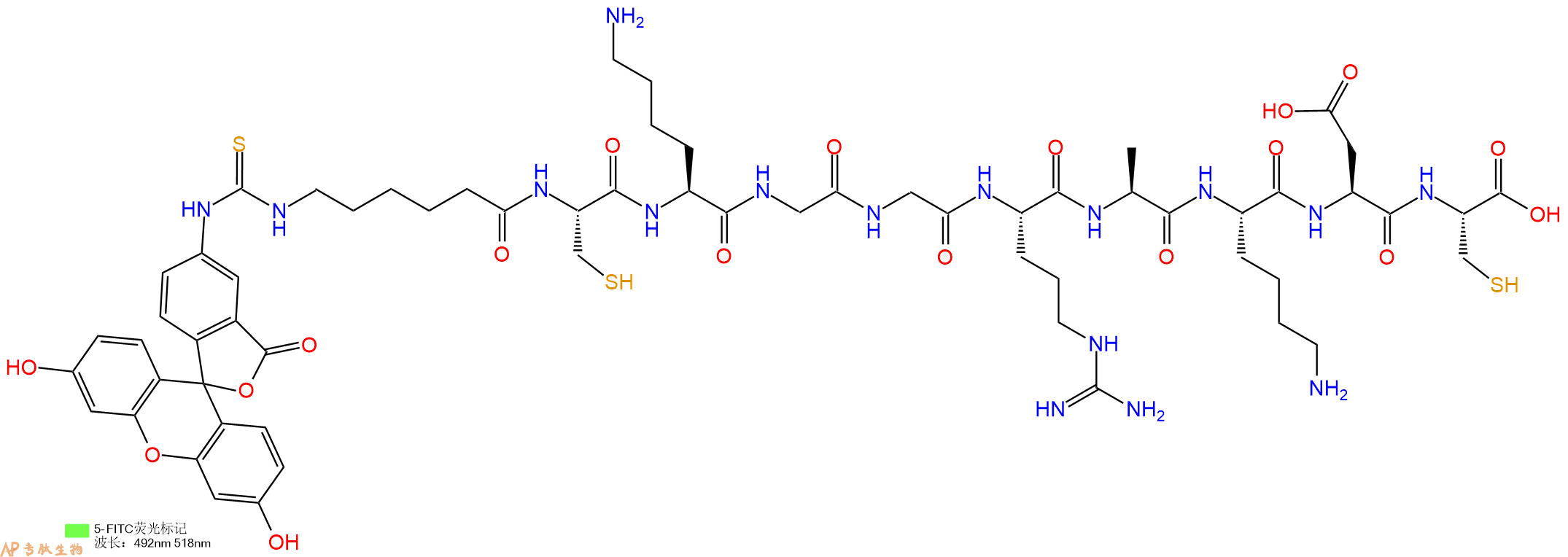 专肽生物产品5FITC-Ahx-Cys-Lys-Gly-Gly-Arg-Ala-Lys-Asp-Cys-OH