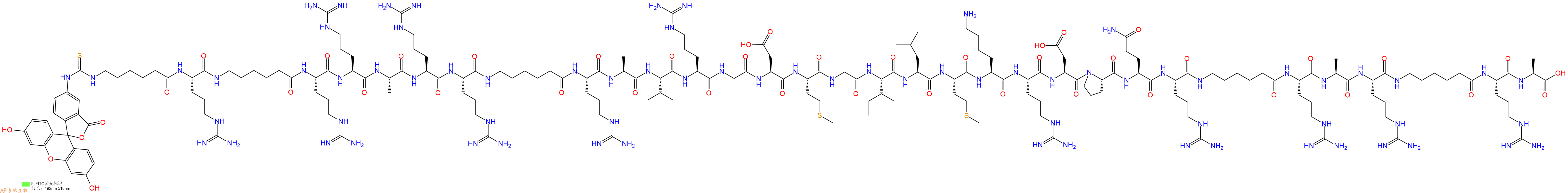 专肽生物产品5FITC-Ahx-Arg-Ahx-Arg-Arg-Ala-Arg-Arg-Ahx-Arg-Ala-Val-Arg-Gly-Asp-Met-Gly-Ile-Leu-Met-Lys-Arg-Asp-Pro-Gln-Arg-Ahx-Arg-Ala-Arg-Ahx-Arg-Ala-OH