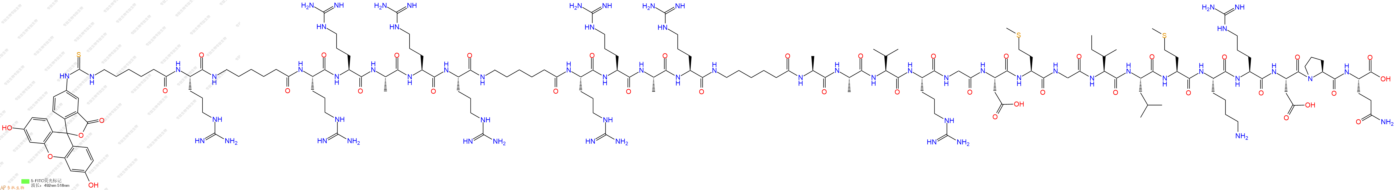 专肽生物产品5FITC-Ahx-Arg-Ahx-Arg-Arg-Ala-Arg-Arg-Ahx-Arg-Arg-Ala-Arg-Ahx-Ala-Ala-Val-Arg-Gly-Asp-Met-Gly-Ile-Leu-Met-Lys-Arg-Asp-Pro-Gln-OH