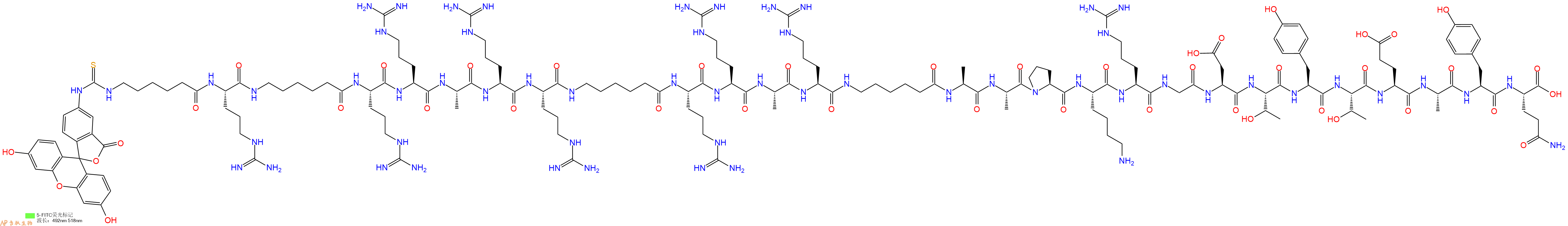 专肽生物产品5FITC-Ahx-Arg-Ahx-Arg-Arg-Ala-Arg-Arg-Ahx-Arg-Arg-Ala-Arg-Ahx-Ala-Ala-Pro-Lys-Arg-Gly-Asp-Thr-Tyr-Thr-Glu-Ala-Tyr-Gln-OH