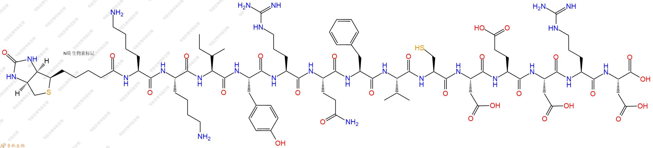 专肽生物产品Biotinyl-Lys-Lys-Ile-Tyr-Arg-Gln-Phe-Val-Cys-Asp-Glu-Asp-Arg-Asp-OH