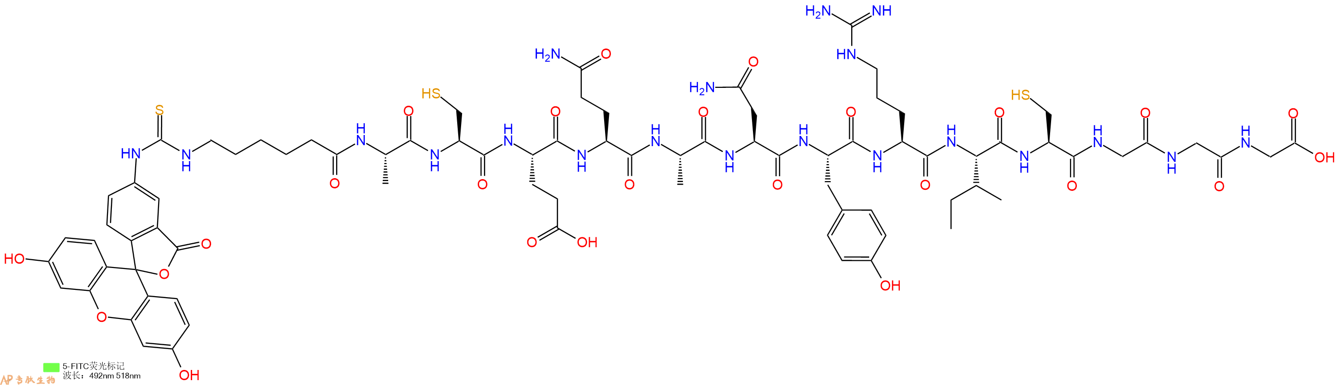 专肽生物产品5FITC-Ahx-Ala-Cys-Glu-Gln-Ala-Asn-Tyr-Arg-Ile-Cys-Gly-Gly-Gly-OH