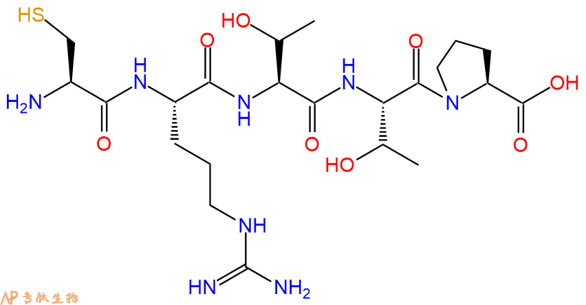 专肽生物产品H2N-Cys-Arg-Thr-Thr-Pro-OH